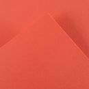 PAPEL-COLOR-CENOURA-01-FL-X-50-CM-X-65-CM-180-GR-M2