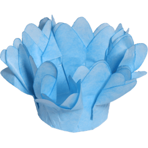 AZUL-CLARO-1